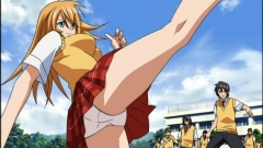 Ikki Tousen: Dragon Destiny Review