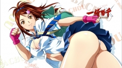 Ikki Tousen: Xtreme Xecutor Review